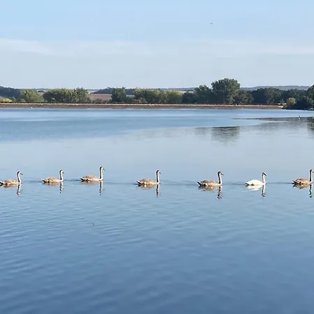 Nr 6 Pod Mit Terrasse Und Seeblick * Langenbernsdorf